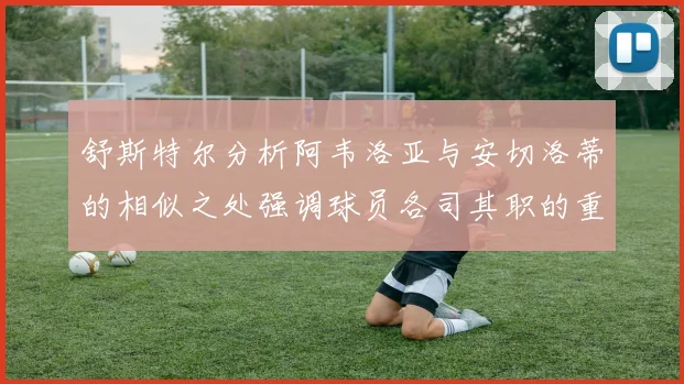 舒斯特尔分析阿韦洛亚与安切洛蒂的相似之处强调球员各司其职的重要性