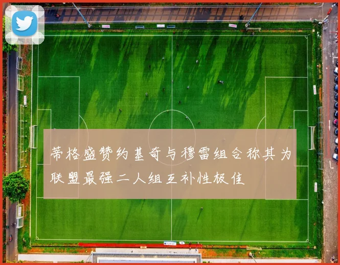 蒂格盛赞约基奇与穆雷组合称其为联盟最强二人组互补性极佳